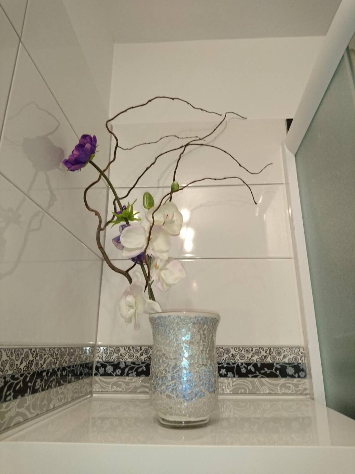 Apartment Maris Split